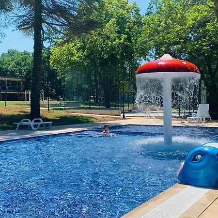 Queen Nelly Park Otel