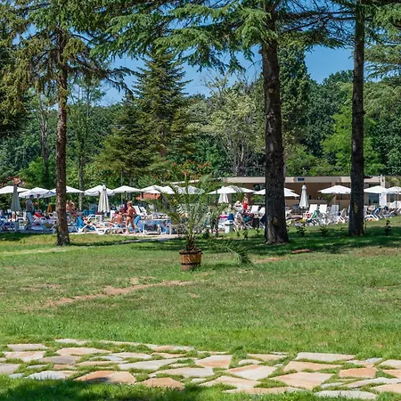 מלון Queen Nelly Park קיטן