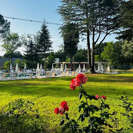 מלון Queen Nelly Park
