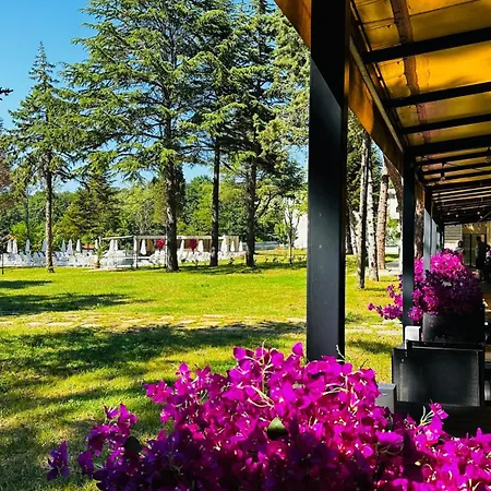 Queen Nelly Park מלון