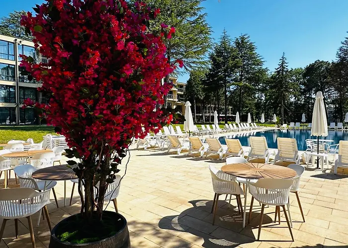 Queen Nelly Park Hotel